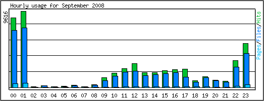 Hourly usage