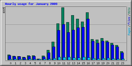Hourly usage for January 2009